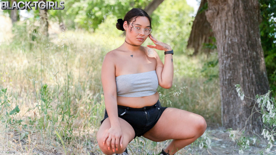 The Daizy Blaze Experience