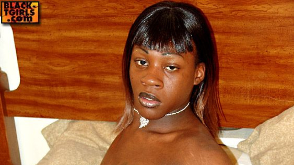 Black Stallion Strokes Her Tool